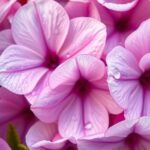 bright floral wall art