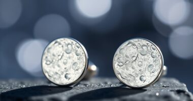 top moon stud earrings