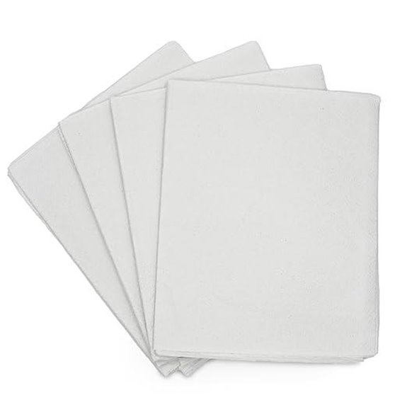 Avalon Single-Use Medical Patient Drape Sheets (Pack of 100)