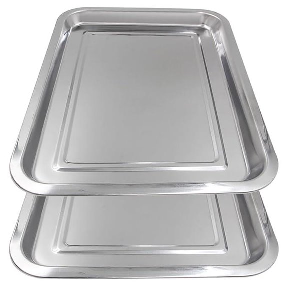 2 Pack Stainless Steel Tattoo & Tool Trays