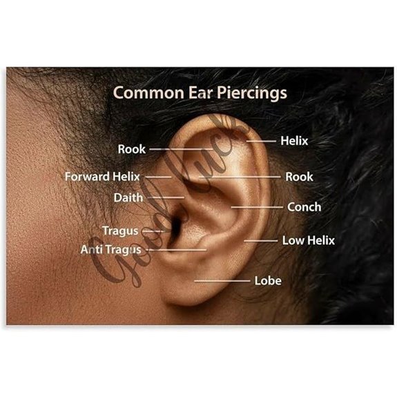 Ear Piercing Placement Guide Wall Decor CanvasPoster
