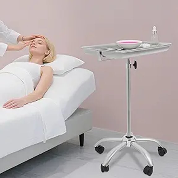 Large Stainless Steel Mobile Salon Tray