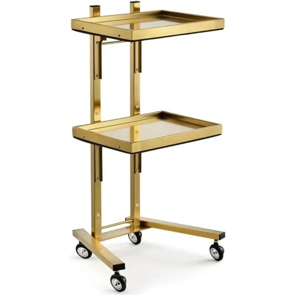 2-Tier Metal Rolling Cart for Salon and Dental Use