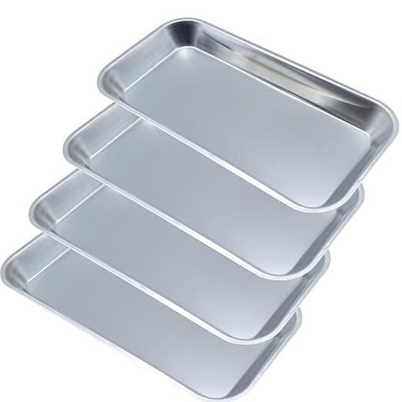 Stainless Steel Medical & Dental Trays (4-Pack)