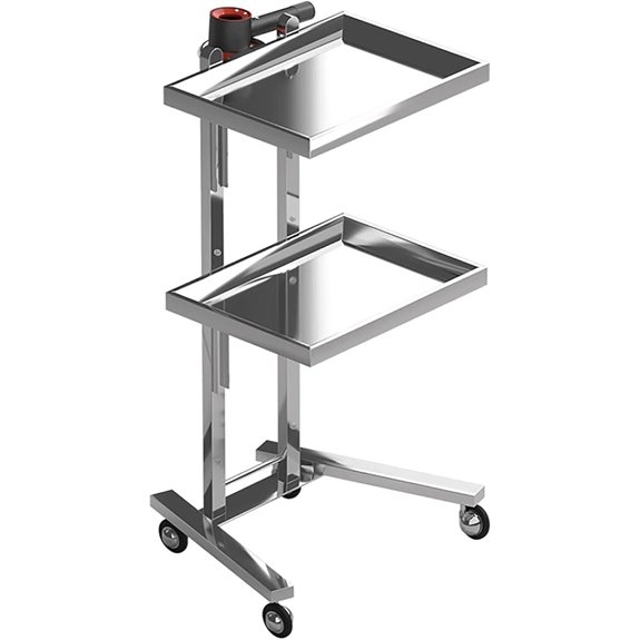 Multifunctional 2-Tray Stainless Steel Utility Cart