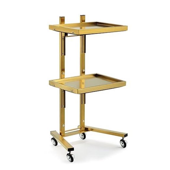 Stainless Steel Rolling Instrument Tray Cart with Storage