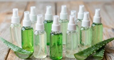 top aloe vera healing sprays