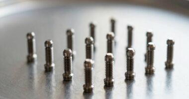 top titanium sensitive barbells