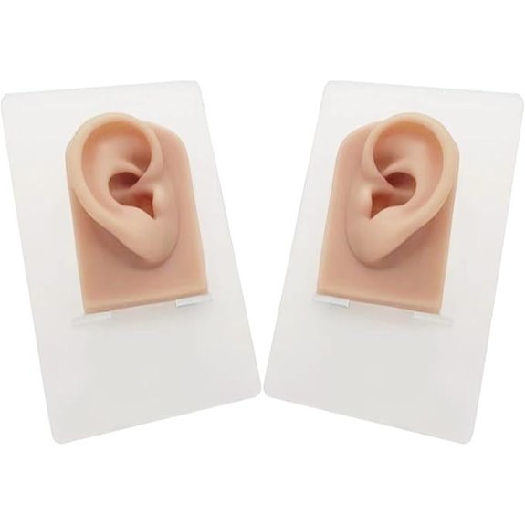 Silicone Ear Model Set with Acrylic Stand