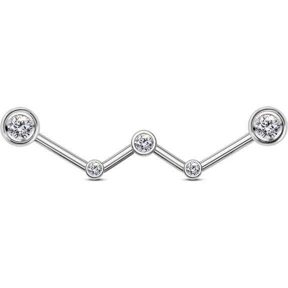 Cocharm Stainless Steel Industrial Earrings (14g 38mm)