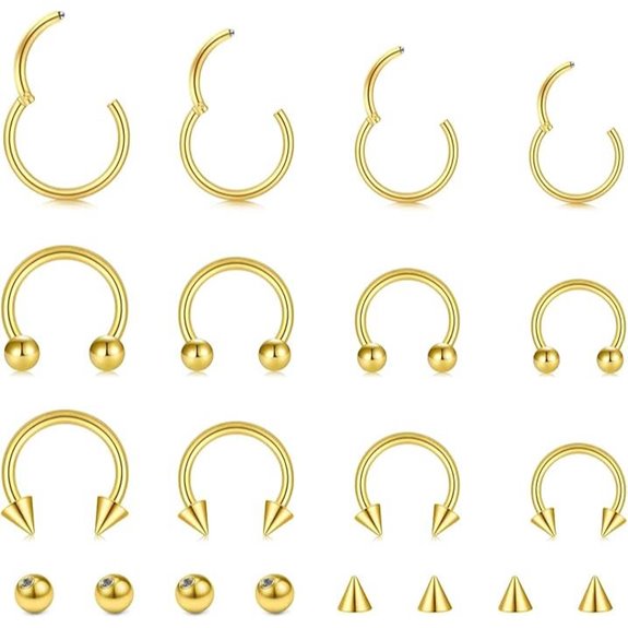 Stainless Steel Hinged Septum & Cartilage Piercing Rings