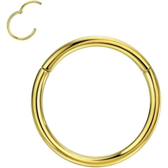 FANSING G23 Titanium Hinged Piercing Rings Hoop