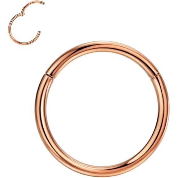 FANSING G23 Titanium Hinged Piercing Rings Hoop