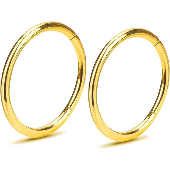 Titanium Nose Rings 2-Pack Hinged Multiple Sizes