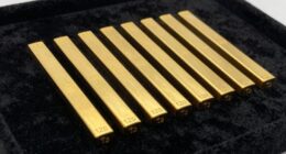 top 15 18k gold barbells