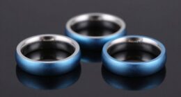 top niobium ring choices