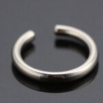 top titanium nose hoop