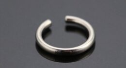 top titanium nose hoop