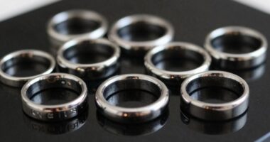 top titanium septum rings