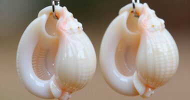 perfectly sized conch hoops