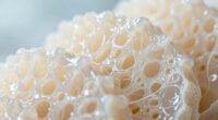 cartilage repair myths debunked