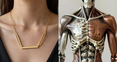fashion trends versus anatomy