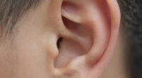 intricate tiny ear features