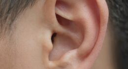 intricate tiny ear features