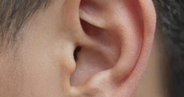 intricate tiny ear features