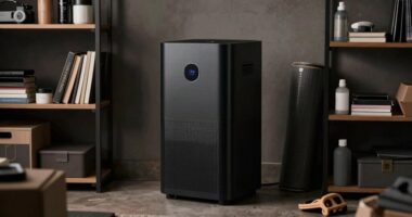 overpaying for air purifiers