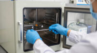 12 Best Tool Disinfection Cabinets in 2026 — The Ultimate Guide