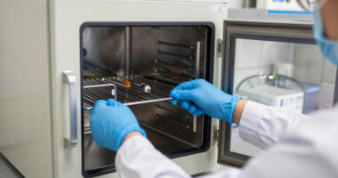 12 Best Tool Disinfection Cabinets in 2026 — The Ultimate Guide