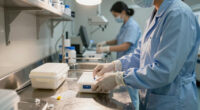 7 Best Medical Sterilization Cassettes in 2026