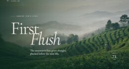 First Flush — Serein Tea Estate (FABLE/175)