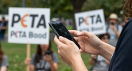 ICYMI: CFDA CEO Steven Kolb Gets Physical With PETA Activists, Bob Mackie Dies At 87 & Fashionista's Spring 2027 NYFW Coverage