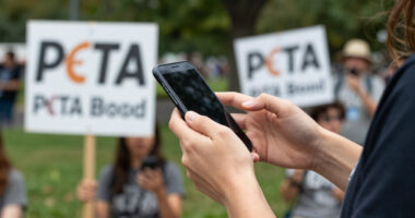 ICYMI: CFDA CEO Steven Kolb Gets Physical With PETA Activists, Bob Mackie Dies At 87 & Fashionista's Spring 2027 NYFW Coverage