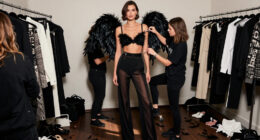 After The VS Fashion Show, Irina Shayk Swaps Wings For Sheer Pants